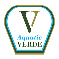 AQUATIC VERDE