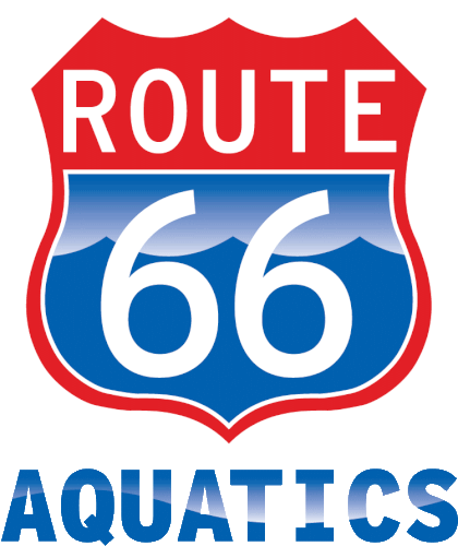 Water Polo Club Route 66 Aquatics official logo.