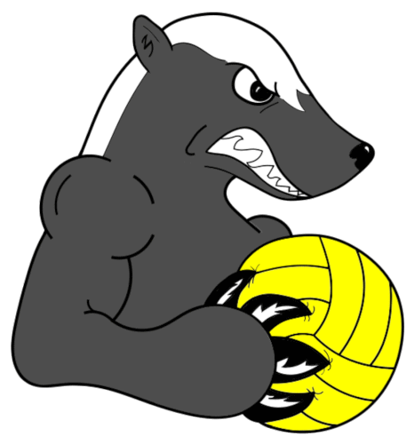 Southside Water Polo Club Honey Badgers