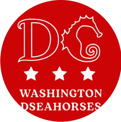 Washington DSeahorses