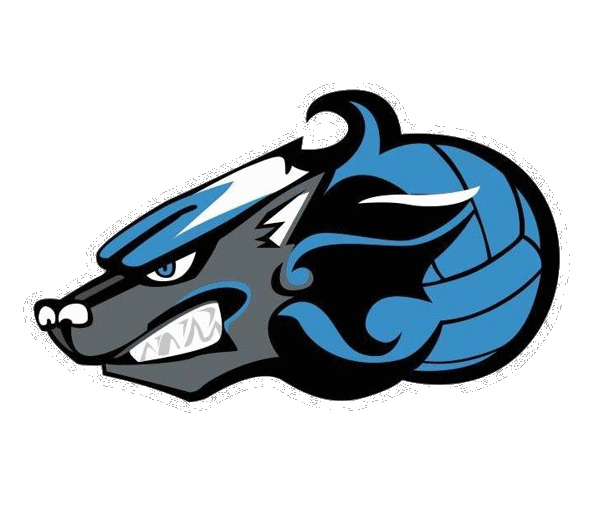 Water Polo Club Calgary SeaWolves Water Polo Club official logo.