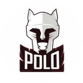 Water Polo Club SESI official logo.