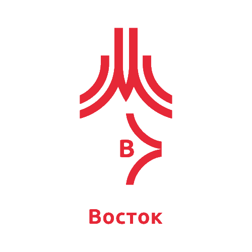 Water Polo Club Vostok official logo.