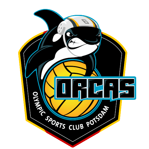 Potsdam Orcas