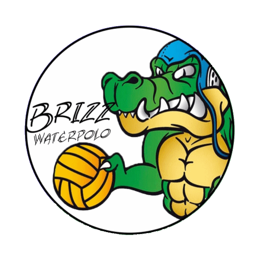 Water Polo Club BRIZZ NUOTO official logo.