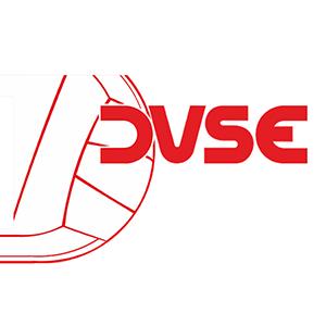 DVSE- Master Good