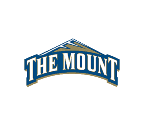 Mount St. Mary's University