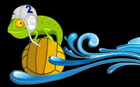 Water Polo Club SC Baden Wasserball official logo.