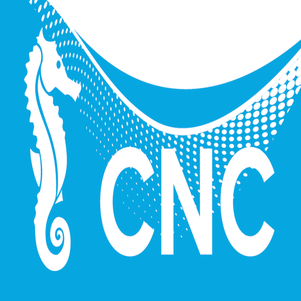 Water Polo Club CN Concarneau official logo.